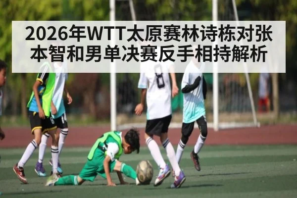 2026年WTT太原赛林诗栋对张本智和男单决赛反手相持解析